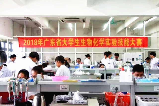 av在线
学生荣获广东省生物化学实验技能大赛二等奖02.jpg
